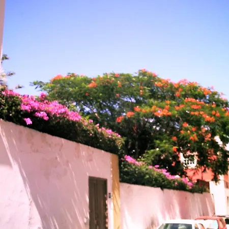 Хостел Orotava *