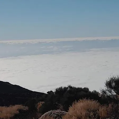 Хостел Orotava *