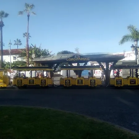 Orotava Хостел