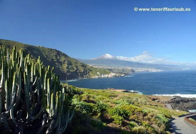 Auberge de jeunesse Orotava